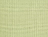 Тканини Carla Celery — 64 Сучасне Однотонні зелені Натуральні Середня 4778