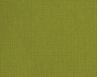 Тканини Carla Oasis — 67 Сучасне Однотонні зелені Натуральні Середня 4780