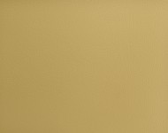 Тканини Prosecco PR11 Сучасне Однотонні бежеві-коричневі Шкіра Преміум 17175