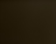 Тканини Prosecco PR20 Сучасне Однотонні бежеві-коричневі Шкіра Преміум 17184