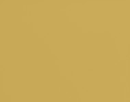 Тканини Prosecco PR25 Сучасне Однотонні бежеві-коричневі Шкіра Преміум 17189
