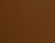 Тканини Prosecco PR35 Сучасне Однотонні бежеві-коричневі Шкіра Преміум 17199