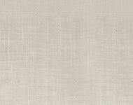 Тканини Sandro Biscuit-4 Сучасне Однотонні бежеві-коричневі Натуральні Середня 18767