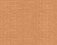 Тканини York Amber-850 Класика Однотонні бежеві-коричневі Велюр Преміум 23537