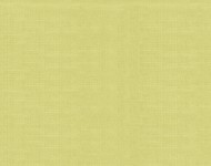 Тканини York Pistachio-007 Класика Однотонні зелені Велюр Преміум 23541
