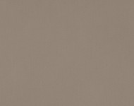 Тканини Melba Caramel-18 Сучасне Однотонні бежеві-коричневі Сатин Середня 13306