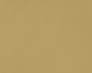 Тканини Melba Cadmium-41 Сучасне Однотонні бежеві-коричневі Сатин Середня 13322