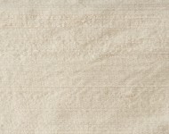 Тканини Indian Silk Ivory — 03 Класика Однотонні бежеві-коричневі Шовк Середня 9560