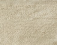Тканини Indian Silk Biscuit — 10 Класика Однотонні бежеві-коричневі Шовк Середня 9566