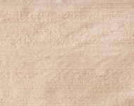 Тканини Indian Silk Toast — 05 Класика Однотонні бежеві-коричневі Шовк Середня 9565