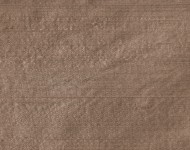 Тканини Indian Silk Nut — 22 Класика Однотонні бежеві-коричневі Шовк Середня 9575