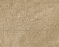 Тканини Indian Silk Beige — 15 Класика Однотонні бежеві-коричневі Шовк Середня 9579