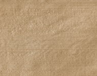 Тканини Indian Silk Jute — 21 Класика Однотонні бежеві-коричневі Шовк Середня 9580