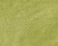 Тканини Indian Silk Seafoam — 35 Класика Однотонні зелені Шовк Середня 9582