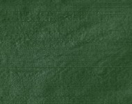 Тканини Indian Silk Wood — 38 Класика Однотонні зелені Шовк Середня 9583