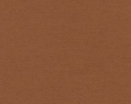 Тканини Wool Terracotta-15 Сучасне Однотонні бежеві-коричневі Натуральні!Шерсть  24119