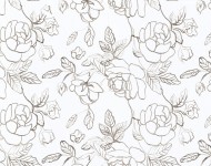 Тканини Modern Rosa N.08 Сучасне Квіткові/рослинні бежеві-коричневі Тюль  25555
