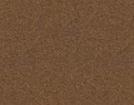 Тканини Charles Caramel 16  Класика!Сучасне Однотонні бежеві-коричневі Велюр  28661