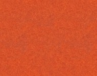 Тканини Charles Orange 19 Класика!Сучасне Однотонні бежеві-коричневі Велюр  28658