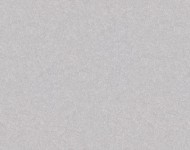 Тканини Charles Sand 06 Класика!Сучасне Однотонні бежеві-коричневі Велюр  28638