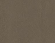 Тканини MATRIX FR Dust-58 Спец. тканини Однотонні бежеві-коричневі Шкірзамінник  A004423