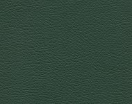 Тканини AKROPOL Forest 611 Спец. тканини Однотонні зелені Шкірзамінник  A004435