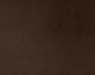 Тканини Chianti 3 Спец. тканини Однотонні бежеві-коричневі Шкіра Преміум 5177