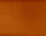 Тканини Chianti 11 Спец. тканини Однотонні бежеві-коричневі Шкіра Преміум 5185