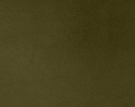 Тканини Chianti 9 Спец. тканини Однотонні зелені Шкіра Преміум 5183