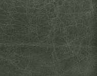 Тканини Brunello 6 Спец. тканини Однотонні зелені Шкіра Преміум 4495