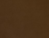 Тканини Barolo 202 Спец. тканини Однотонні бежеві-коричневі Шкіра Преміум 3915