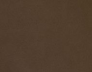 Тканини Barolo 203 Спец. тканини Однотонні бежеві-коричневі Шкіра Преміум 3916