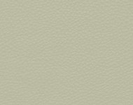 Тканини Barbaresco 92 Спец. тканини Однотонні зелені Шкіра Преміум 3848