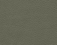 Тканини Barbaresco 100 Спец. тканини Однотонні зелені Шкіра Преміум 3856