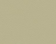 Тканини Barbaresco 93 Спец. тканини Однотонні бежеві-коричневі Шкіра Преміум 3849