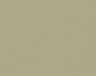Тканини Barbaresco 3 Спец. тканини Однотонні бежеві-коричневі Шкіра Преміум 3759