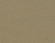 Тканини Barbaresco 11 Спец. тканини Однотонні бежеві-коричневі Шкіра Преміум 3767