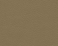 Тканини Barbaresco 13 Спец. тканини Однотонні бежеві-коричневі Шкіра Преміум 3769