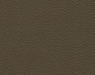 Тканини Barbaresco 57 Спец. тканини Однотонні бежеві-коричневі Шкіра Преміум 3813