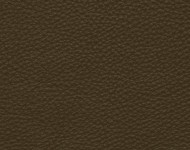 Тканини Barbaresco 59 Спец. тканини Однотонні бежеві-коричневі Шкіра Преміум 3815