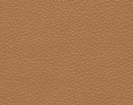 Тканини Barbaresco 50 Спец. тканини Однотонні бежеві-коричневі Шкіра Преміум 3806