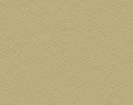 Тканини Barbaresco 7 Спец. тканини Однотонні бежеві-коричневі Шкіра Преміум 3763