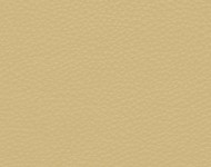 Тканини Barbaresco 8 Спец. тканини Однотонні бежеві-коричневі Шкіра Преміум 3764