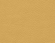 Тканини Barbaresco 15 Спец. тканини Однотонні жовті Шкіра Преміум 3771