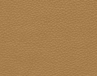Тканини Barbaresco 16 Спец. тканини Однотонні бежеві-коричневі Шкіра Преміум 3772