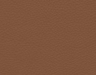 Тканини Barbaresco 17 Спец. тканини Однотонні бежеві-коричневі Шкіра Преміум 3773