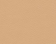Тканини Barbaresco 24 Спец. тканини Однотонні бежеві-коричневі Шкіра Преміум 3780