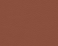 Тканини Barbaresco 53 Спец. тканини Однотонні бежеві-коричневі Шкіра Преміум 3809