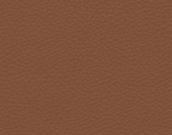Тканини Barbaresco 18 Спец. тканини Однотонні бежеві-коричневі Шкіра Преміум 3774