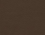 Тканини Barbaresco 20 Спец. тканини Однотонні бежеві-коричневі Шкіра Преміум 3776